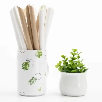 Các loại ống hút thân thiện với môi trường